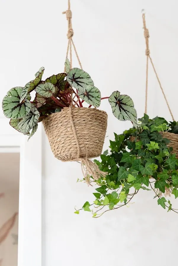 Apartment Botanic Guesthouse Este Italy