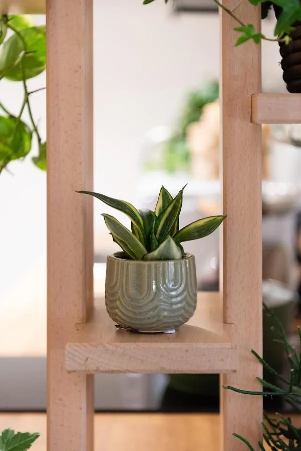 Botanic Guesthouse Este